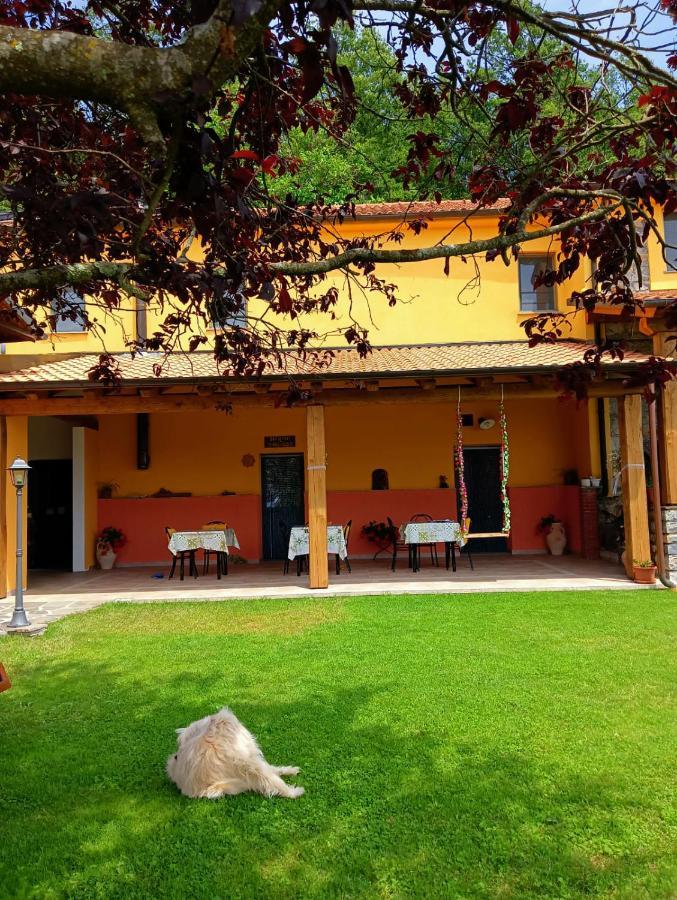 Terra Del Bosco Agriturismo Sesta Godano Exteriör bild