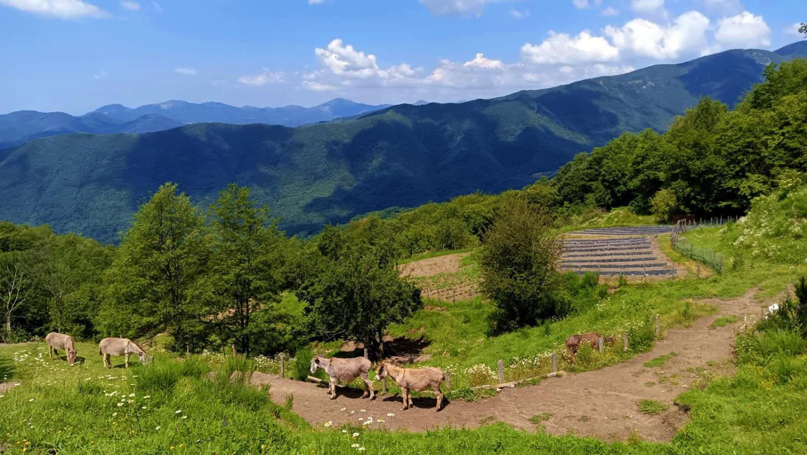 Terra Del Bosco Agriturismo Sesta Godano Exteriör bild
